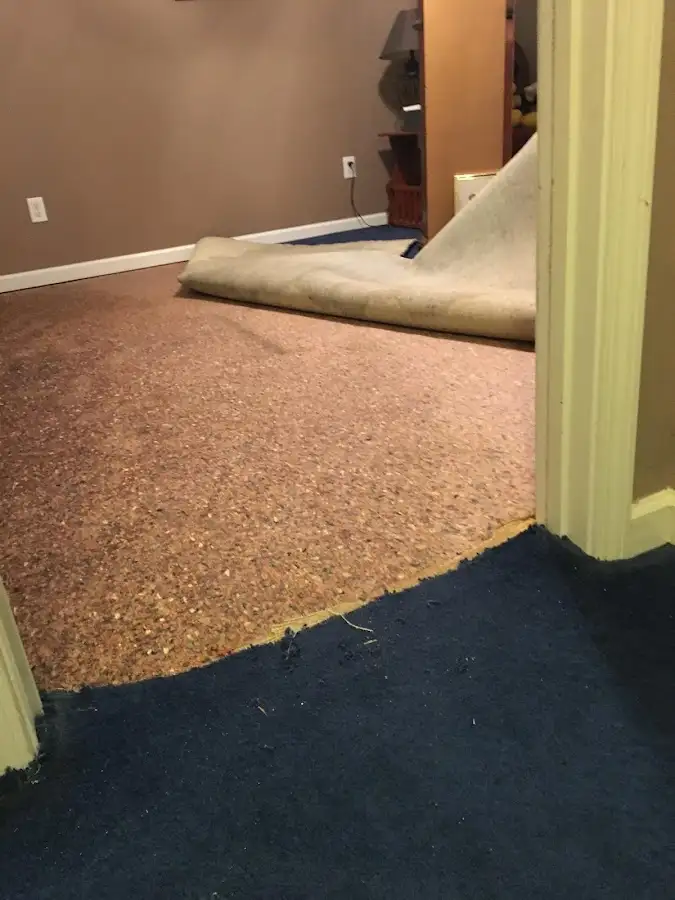 Carpet pad removal revealing water damage during Drying & Dehumidification in Citrus Hills