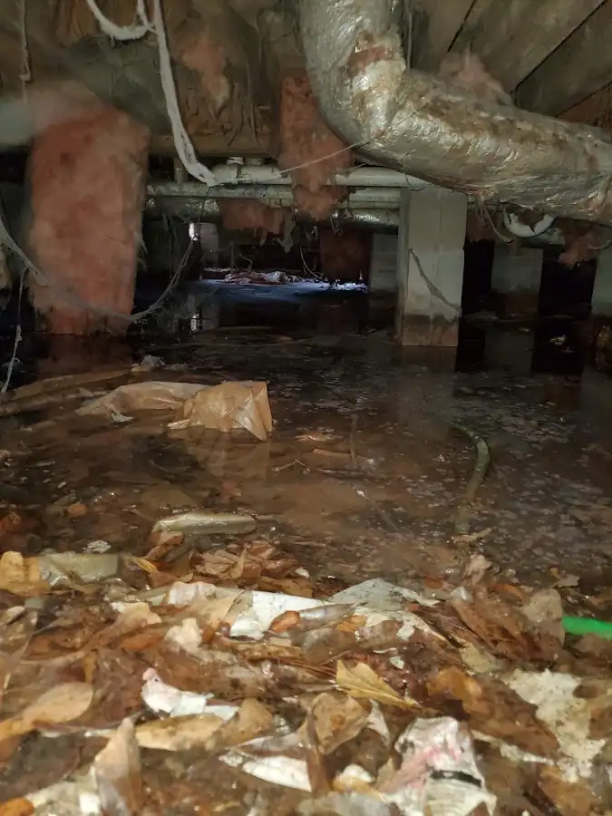Crawl space flood assessment for Leak Detection & Repair in Citrus Hills