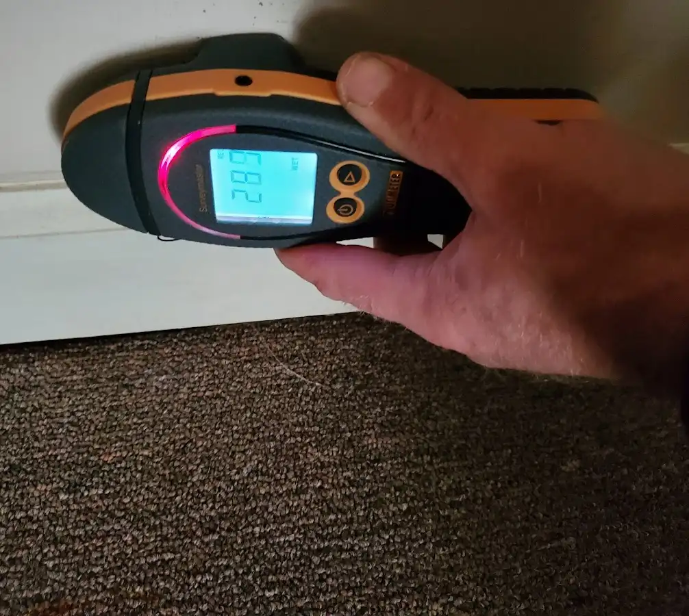 Moisture detection at baseboard during Mold Inspection & Testing in Citrus Hills